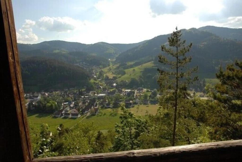 Oberbauernhof - Wohnung "Am Garten" -- Moderne Fewo Im Schoenen Schwarzwaldhaus Gutach Exteriér fotografie