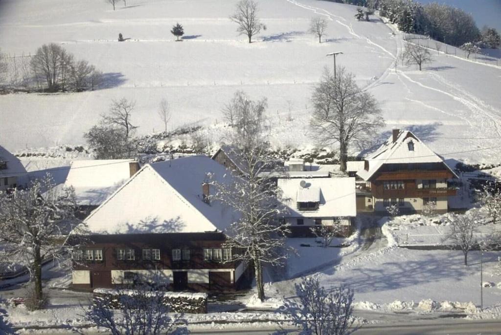 Oberbauernhof - Wohnung "Am Garten" -- Moderne Fewo Im Schoenen Schwarzwaldhaus Gutach Exteriér fotografie